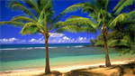 Fond d'écran gratuit de OCEANIE - Hawai numéro 59595